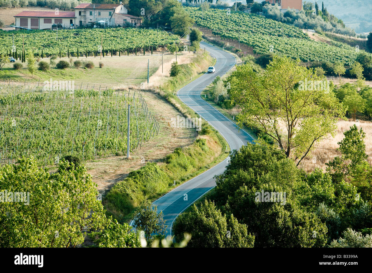 Winding zig zag road in Tuscany Italy Stock Photo