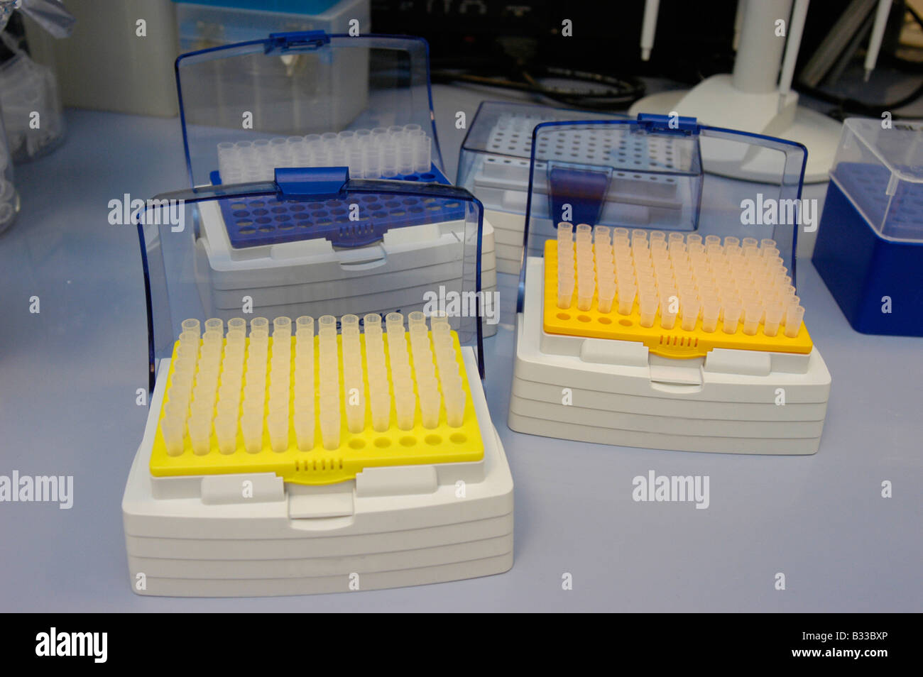 Keeping of assays in the scientific laboratory Stock Photo Alamy