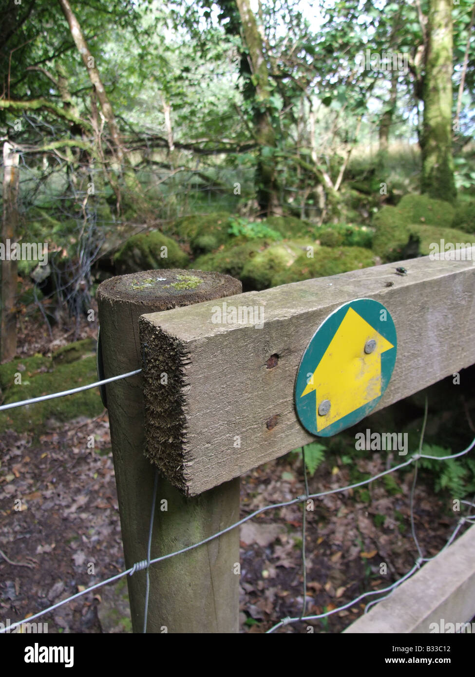 direction arrow sign on public footpath in woods Stock Photo - Alamy