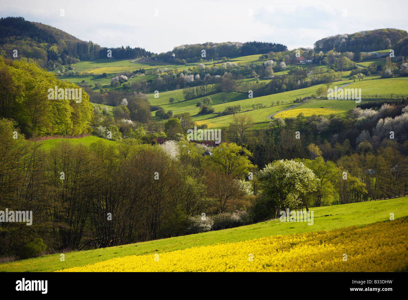 Spring in northern Palatinate Stock Photo - Alamy