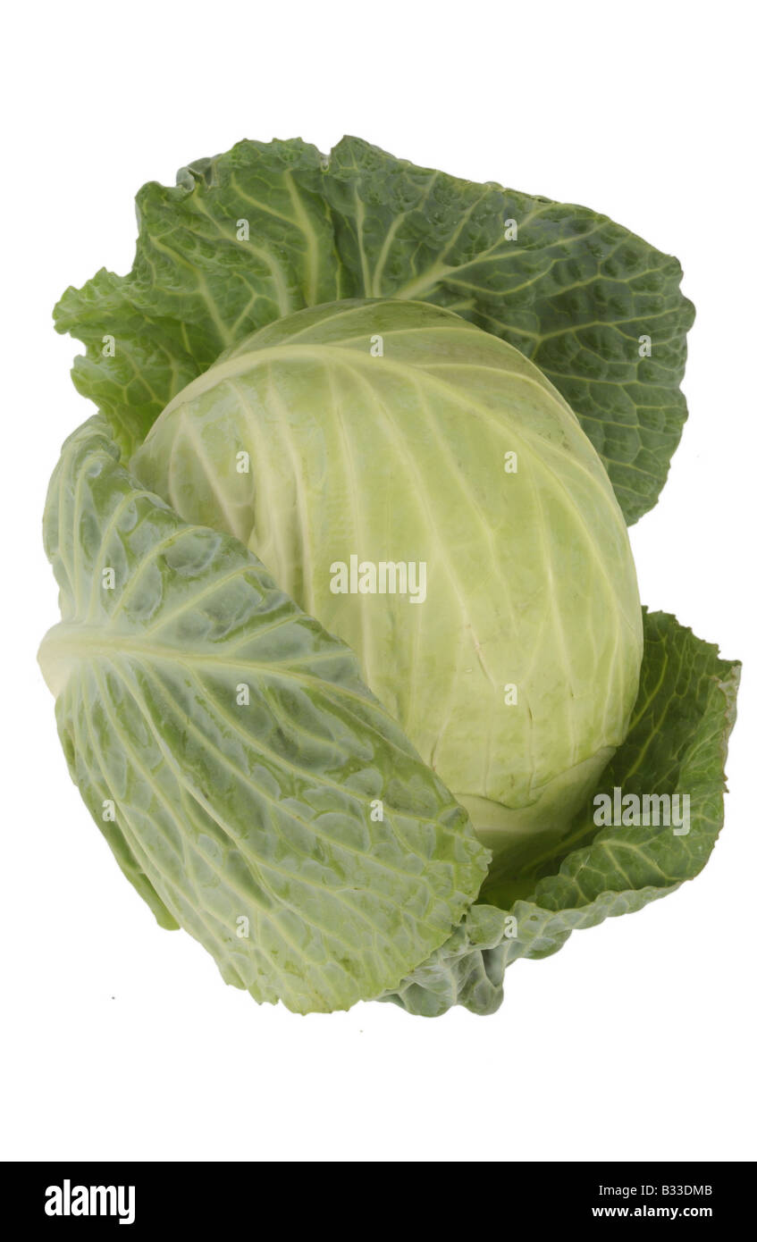cut out of a cabbage Stock Photo Alamy