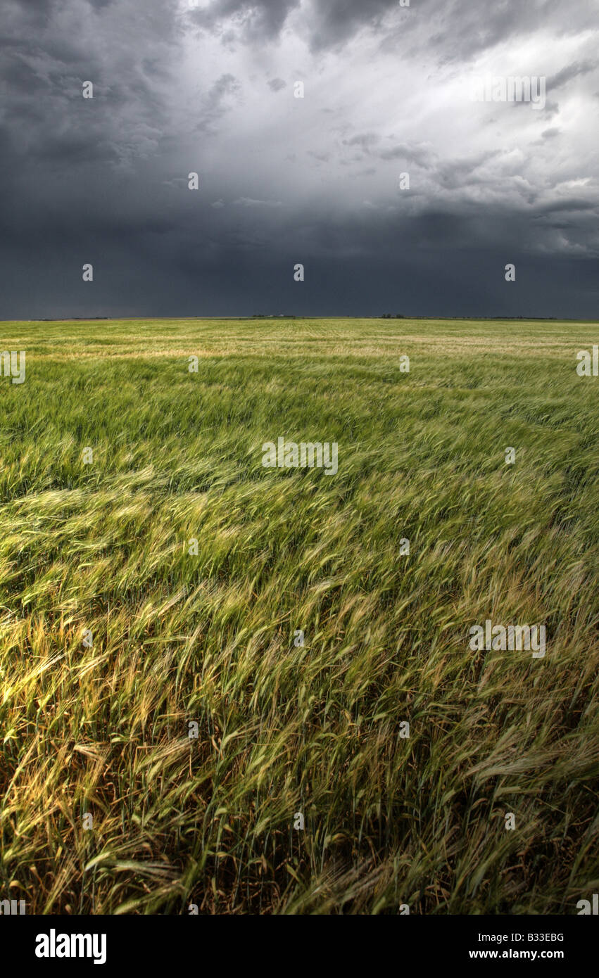 Storm clouds over Saskatchewan Stock Photo - Alamy