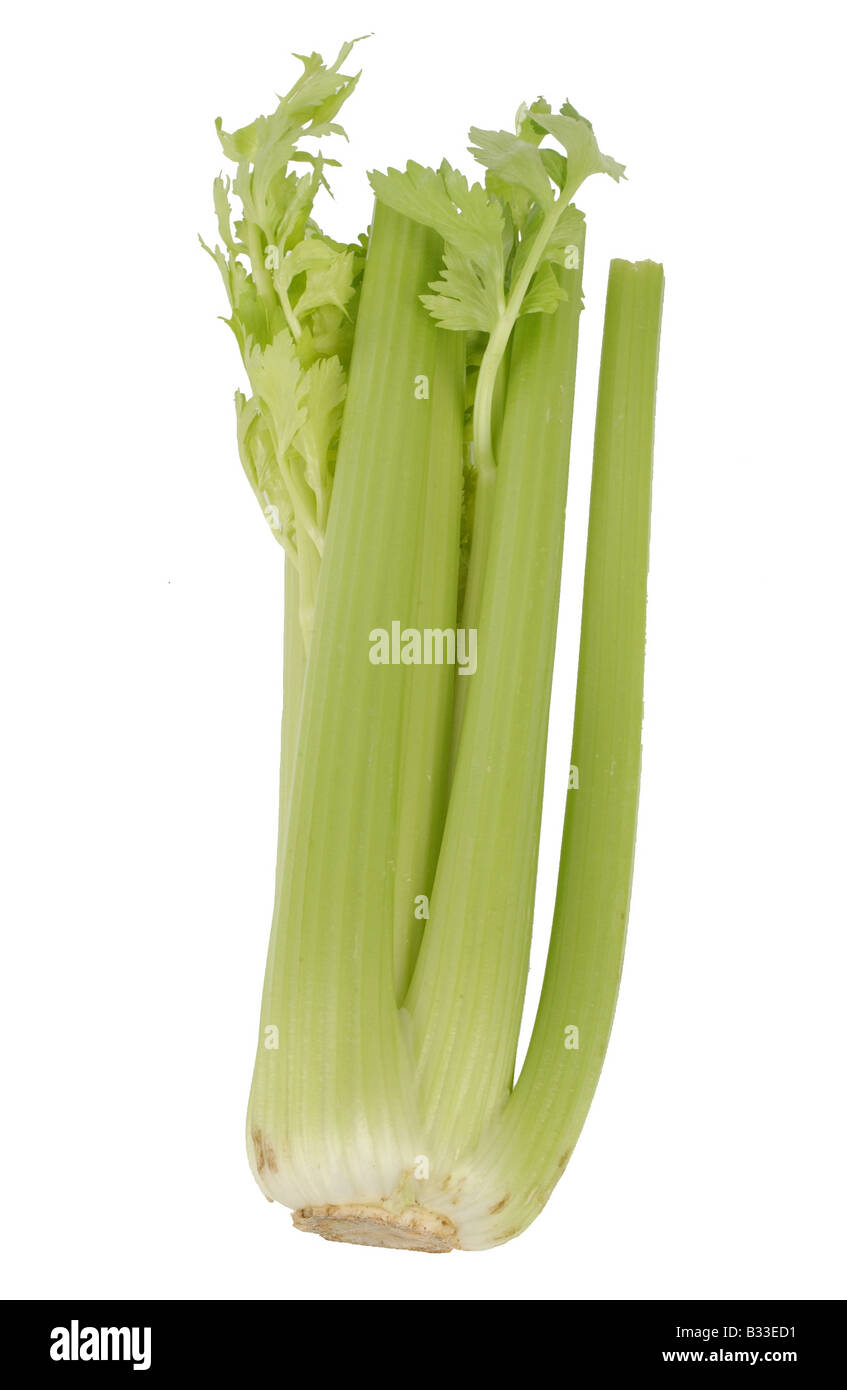 cut out of a stick of celery Stock Photo Alamy