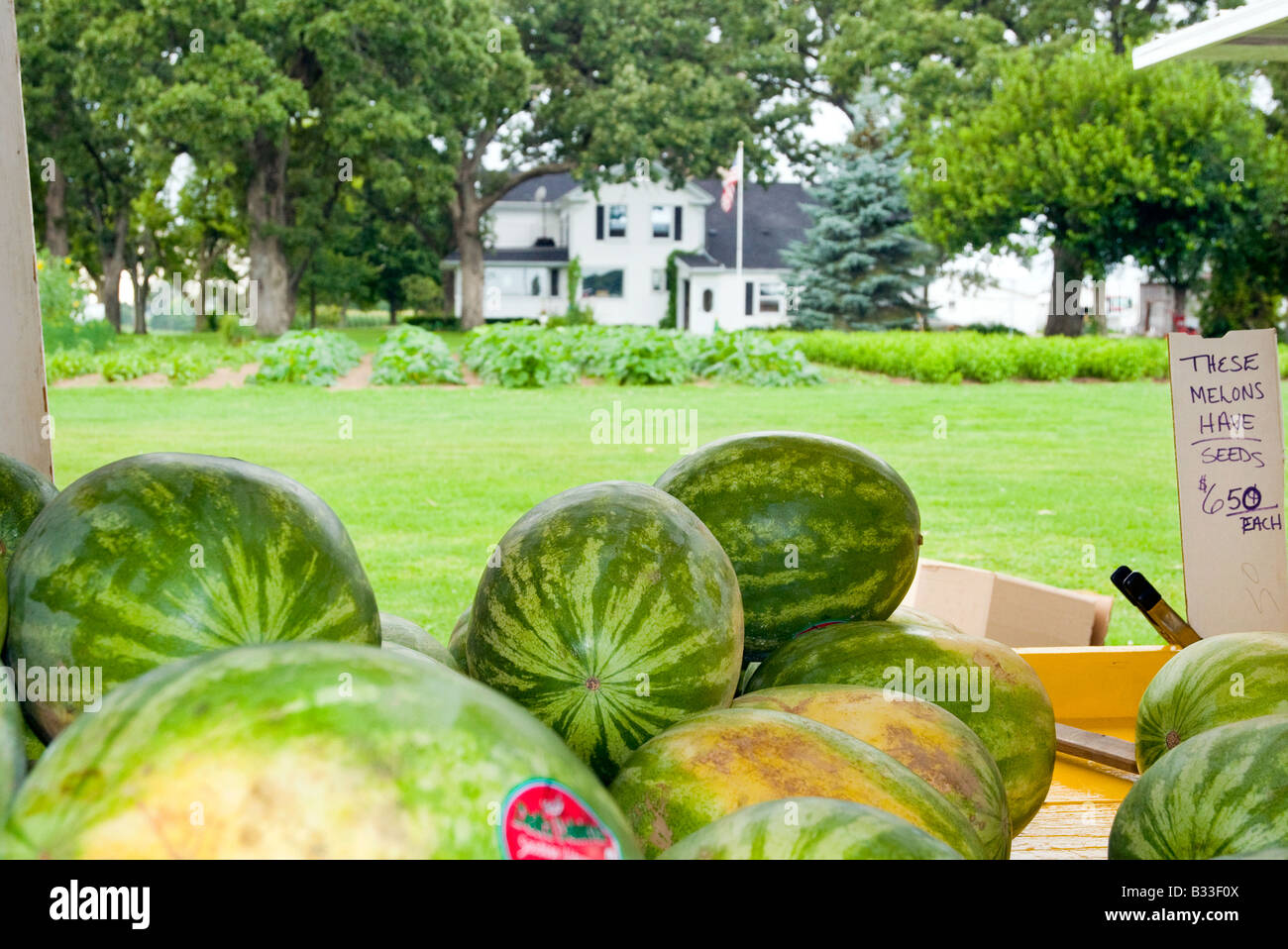 Watermelon Stand High Resolution Stock Photography and Images Alamy