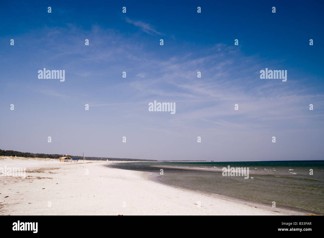 Darss beach near Prerow, Germany Stock Photo