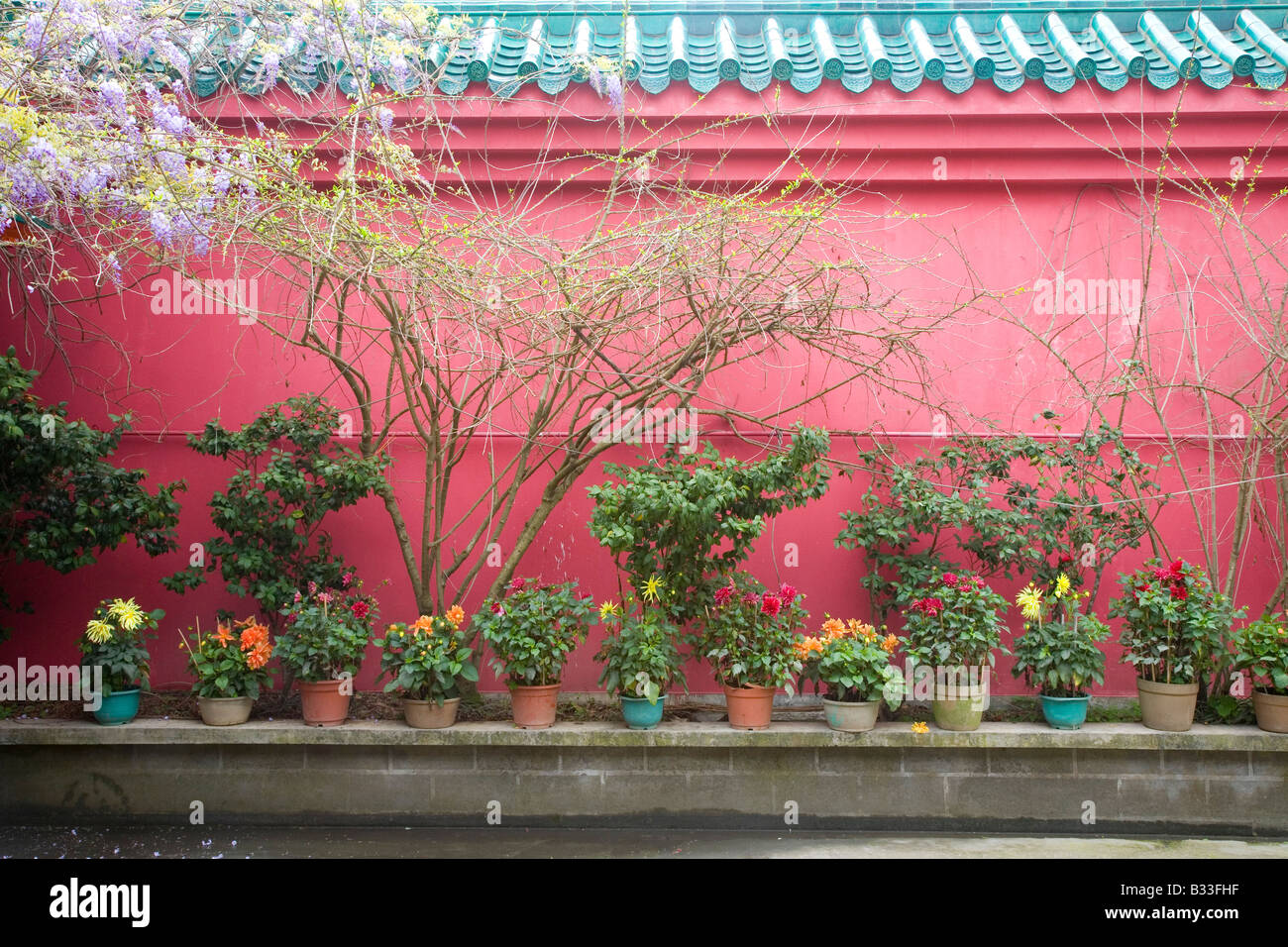 Garden in Chinese temple Stock Photo Alamy