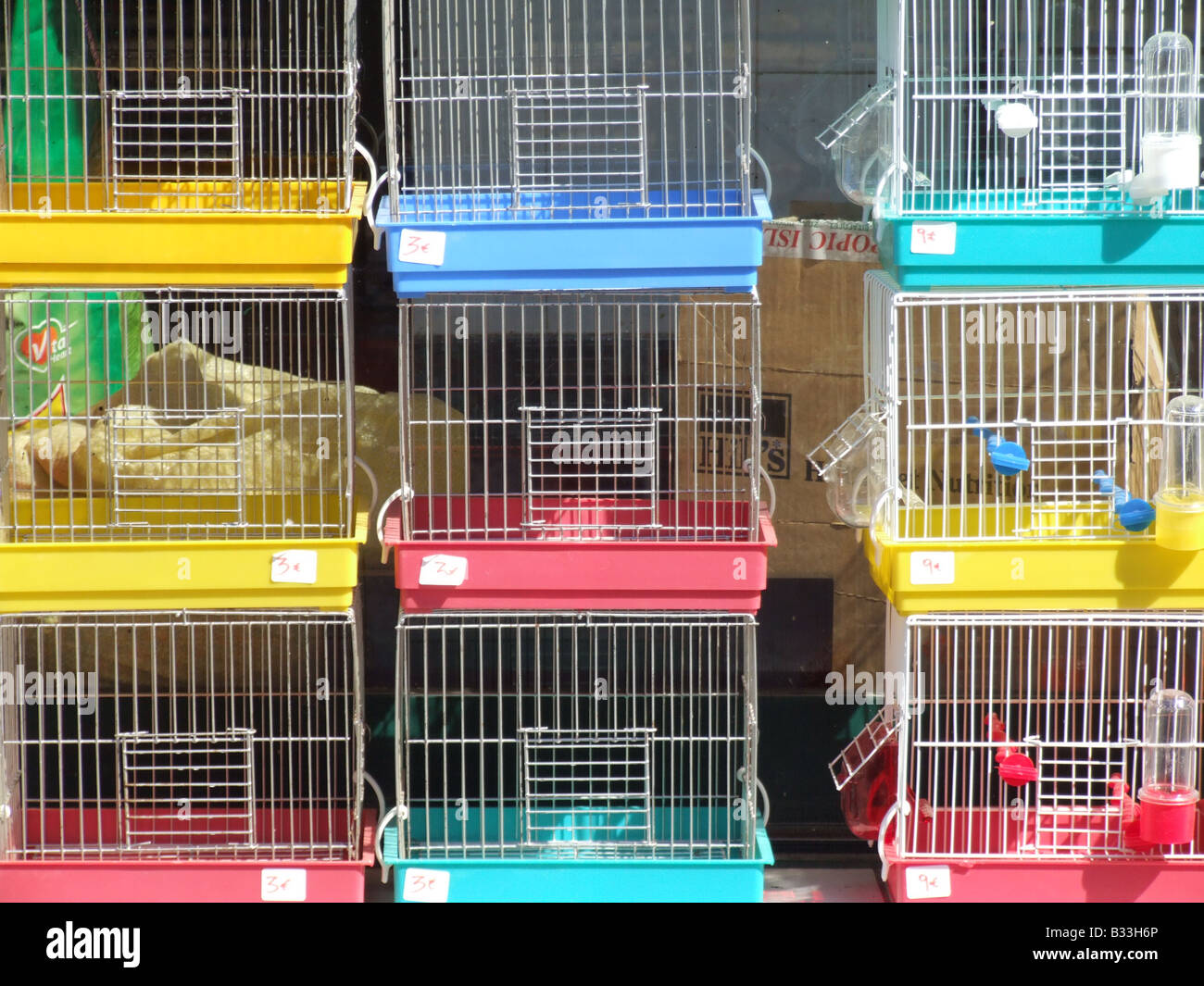 empty colourful bird cages in pet shop window Stock Photo - Alamy