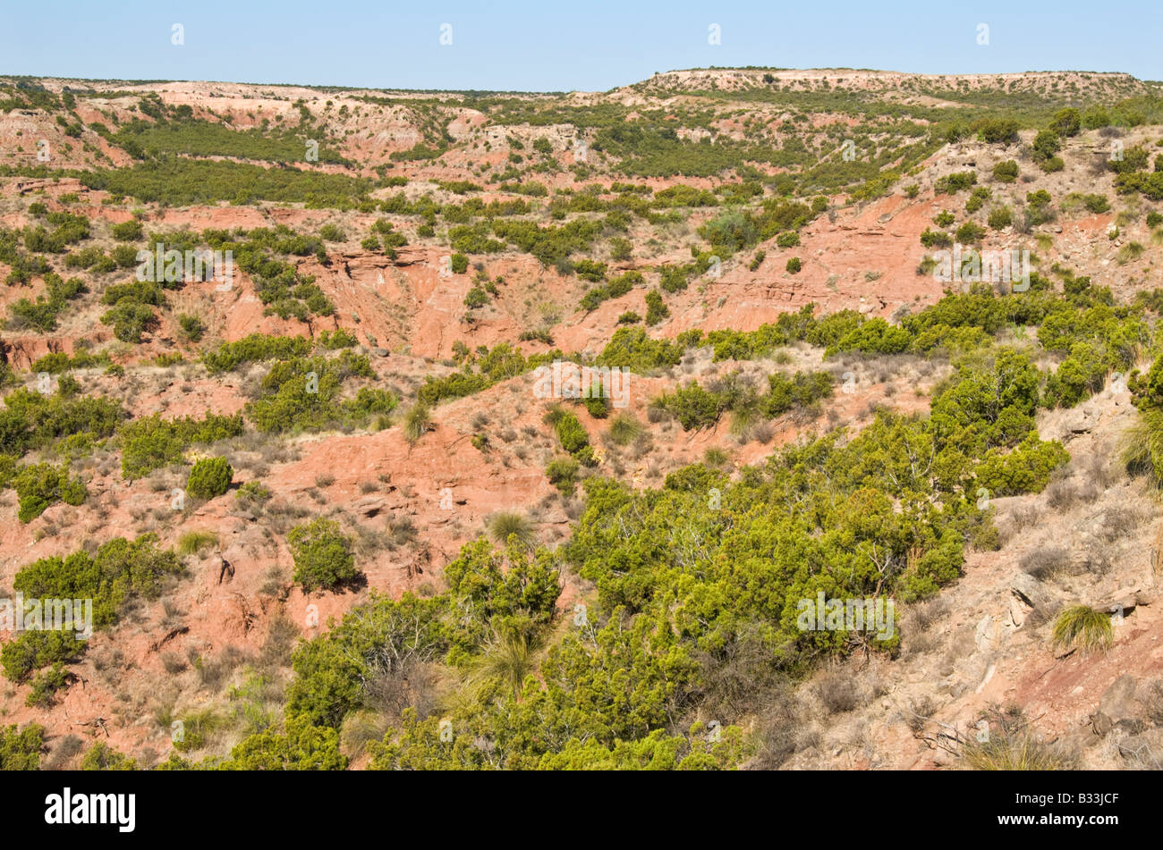 Texas High Plains view from Farm Roard 669 Scenic Route Stock Photo Alamy