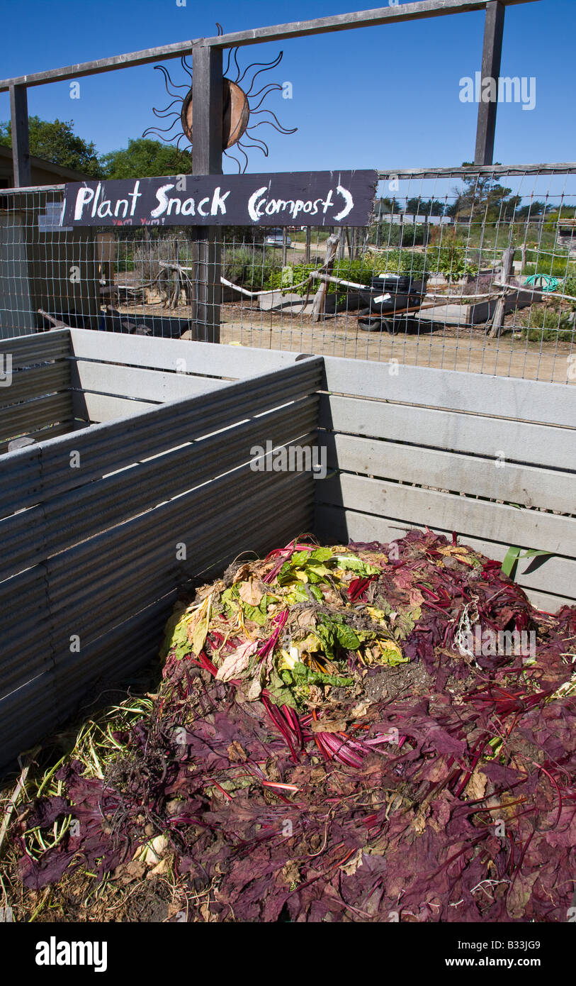 Compost habitat hi-res stock photography and images - Alamy
