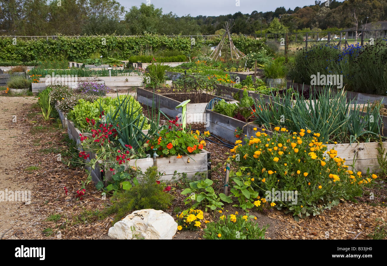 A community based ORGANIC GARDEN grows flowers and vegetables at the