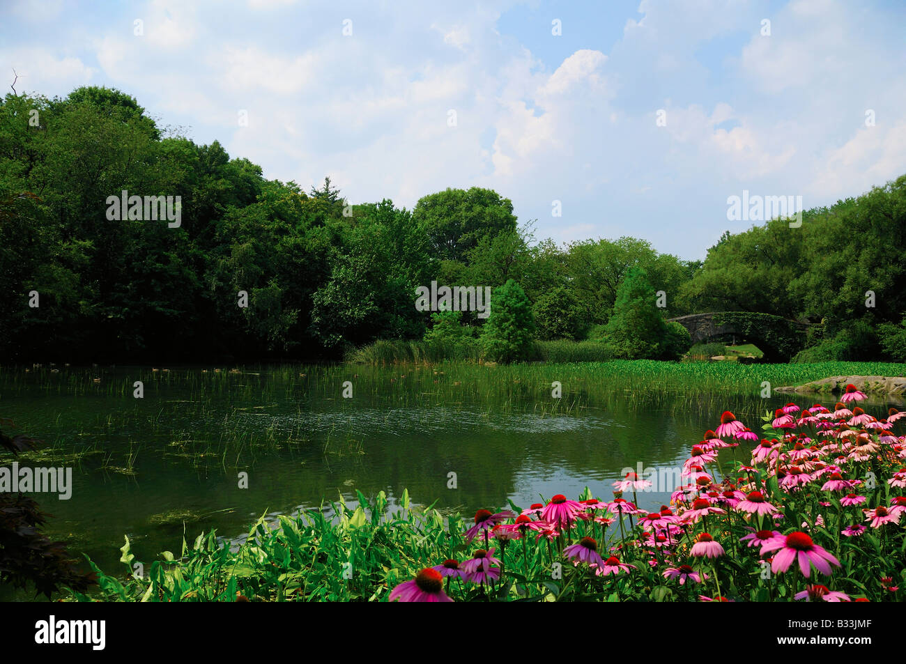 A view of central park Stock Photo