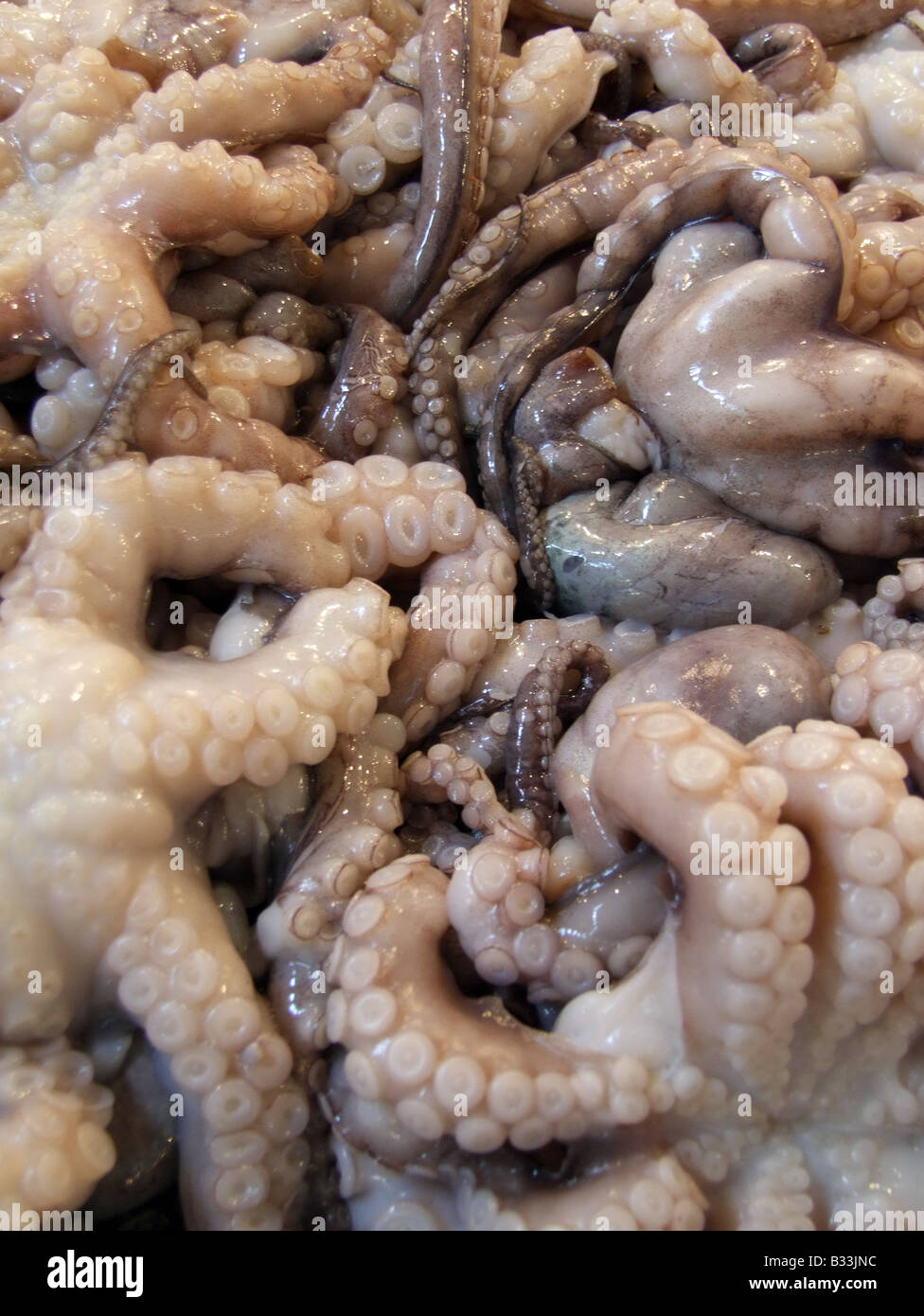 fish market stall in athens greece Stock Photo Alamy