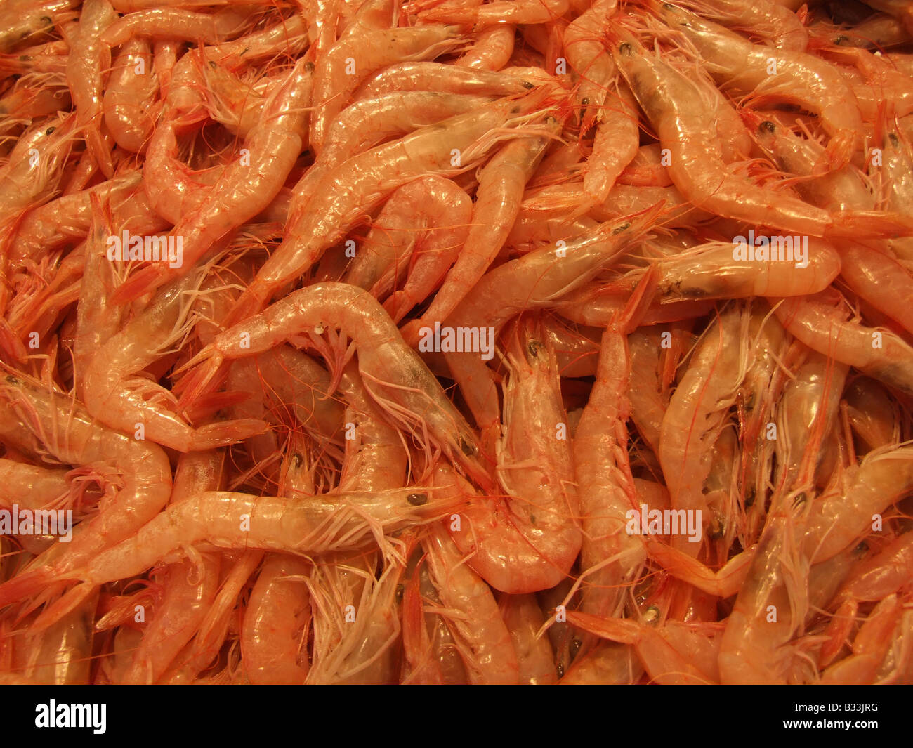 lots of prawn shrimp in fish market for , Stock Video