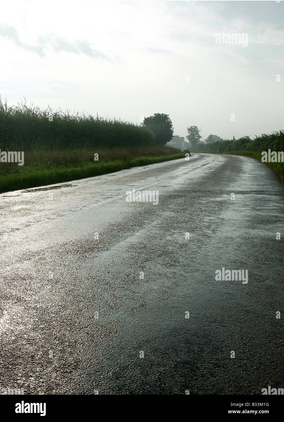 dramatic rural road highway with bright fresh morning sunlight reflecting on the tarmac surface in upright portrait format offer Stock Photo