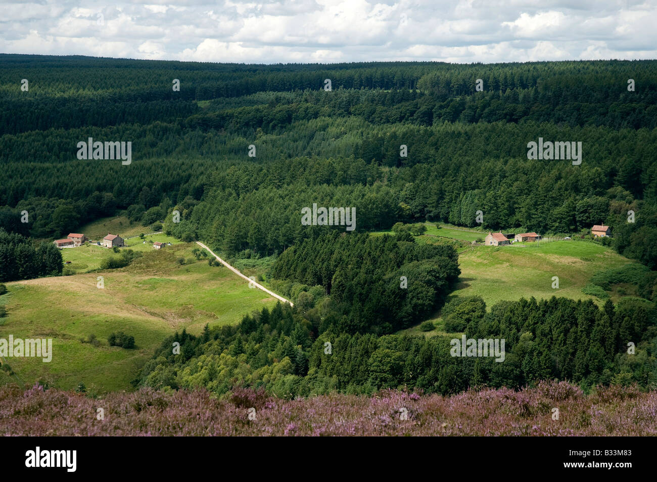 Remote farmhouses in Newtondale, North Yorkshire Moors, Northern England Stock Photo