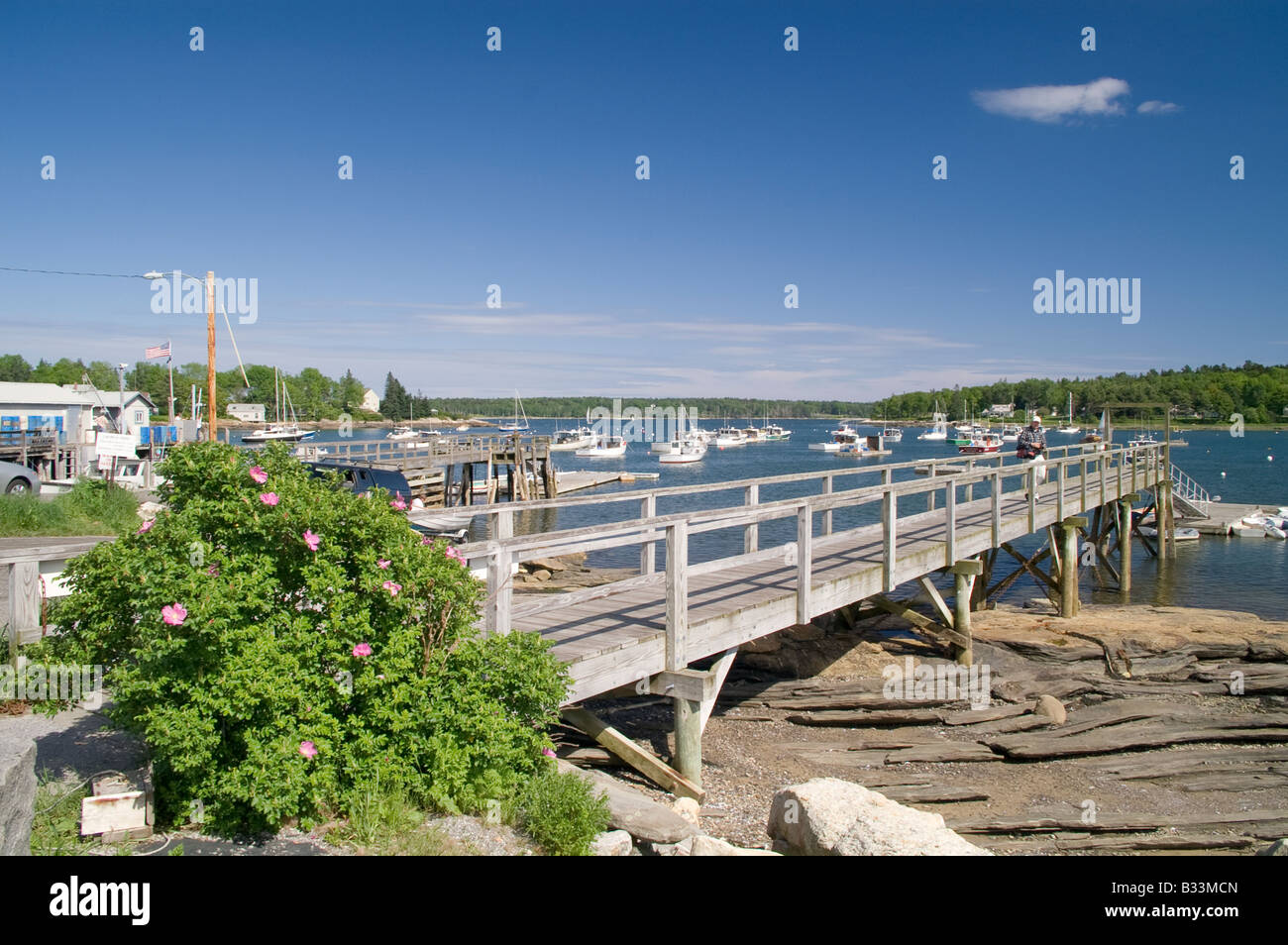 harbor Round Pond, Maine, USA Stock Photo Alamy