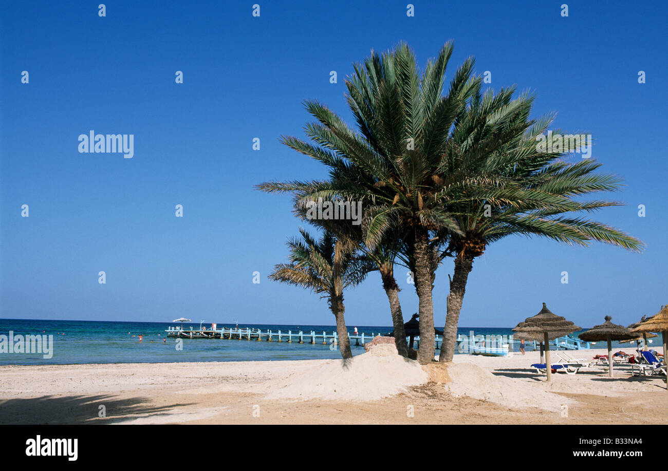 Oasis Zarzis Djerba Island Tunisia Stock Photo