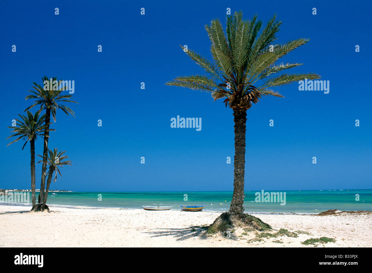 Seguia Beach Djerba Island Tunisia Stock Photo Alamy seguia-beach-djerba-island-tunisia-stock-photo-alamy