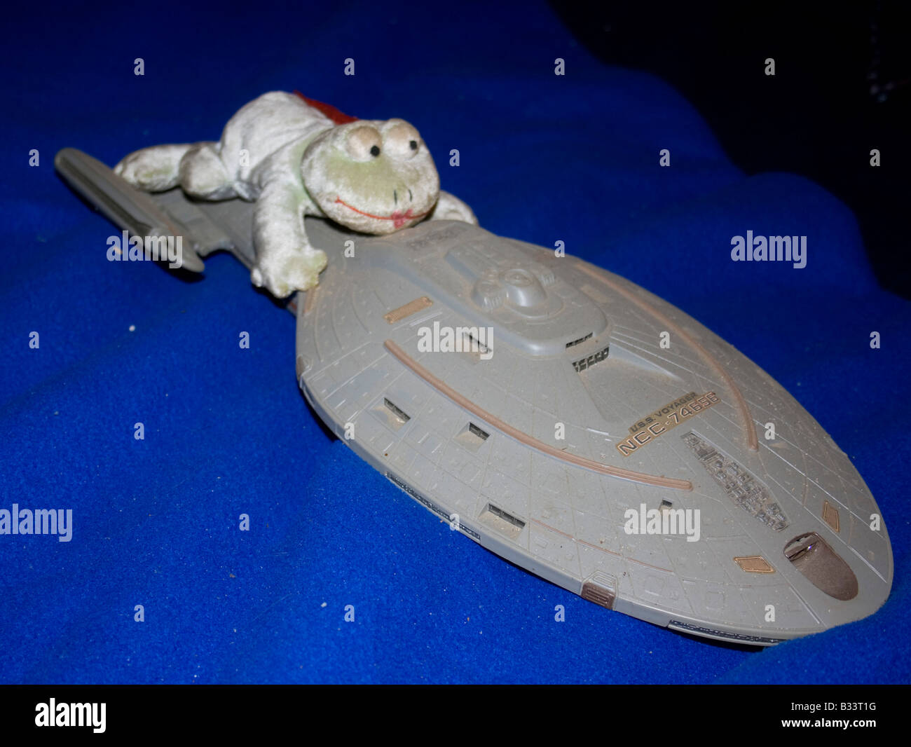 Ms Smiley Frog likes to travel by spaceship Stock Photo