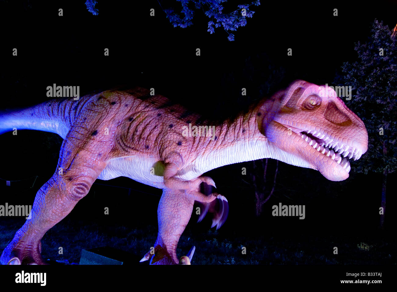 Dino Stock Photo - Alamy