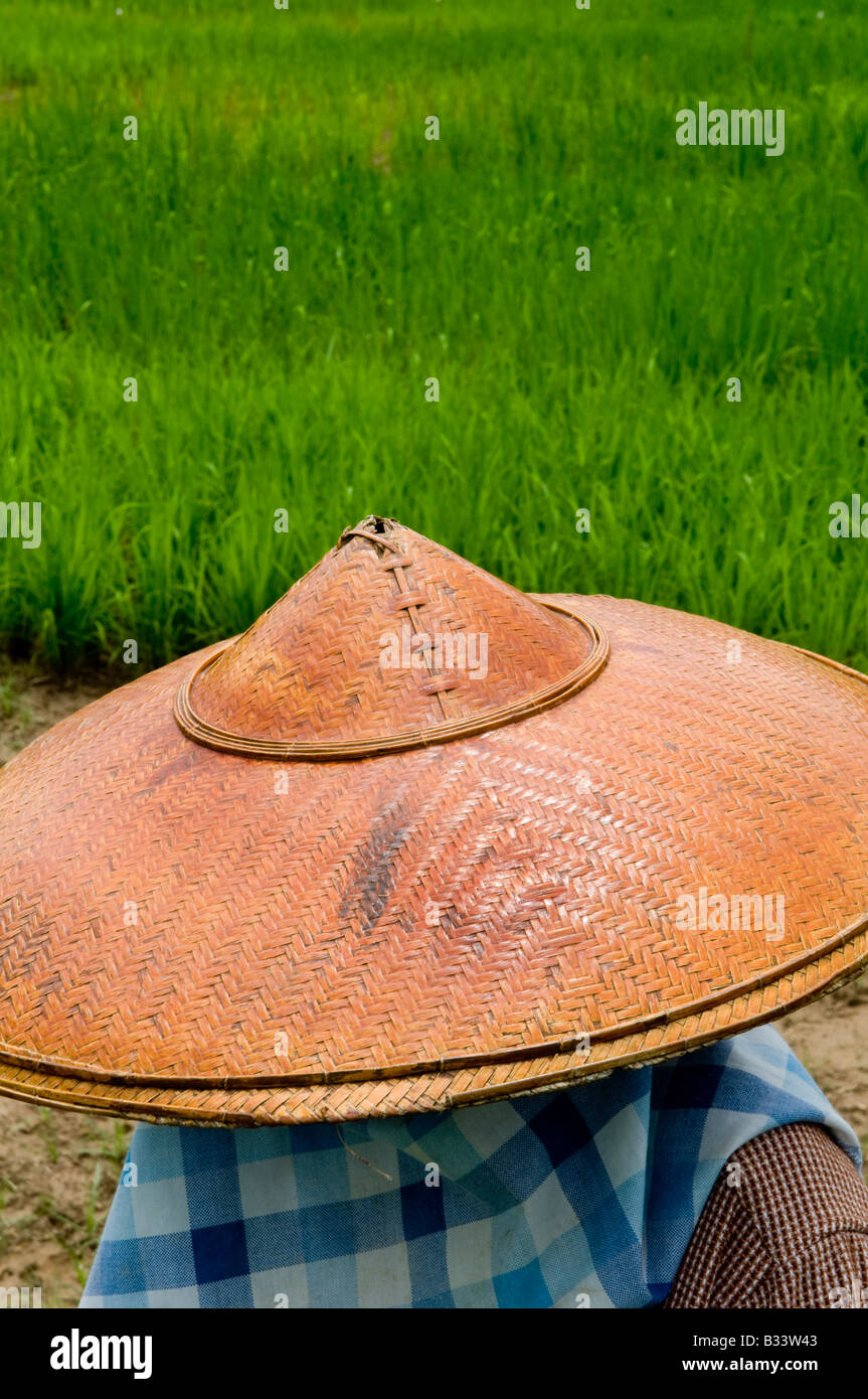 working in the rice fields, being protected from the strong sun with a beautiful South east Asian hat Stock Photo