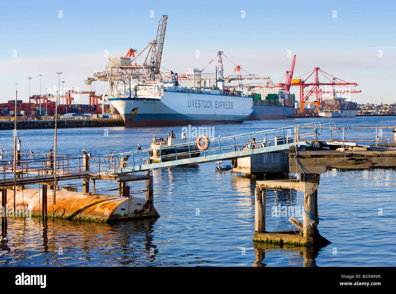A livestock transport ship docked at Fremantle Harbour in Perth
