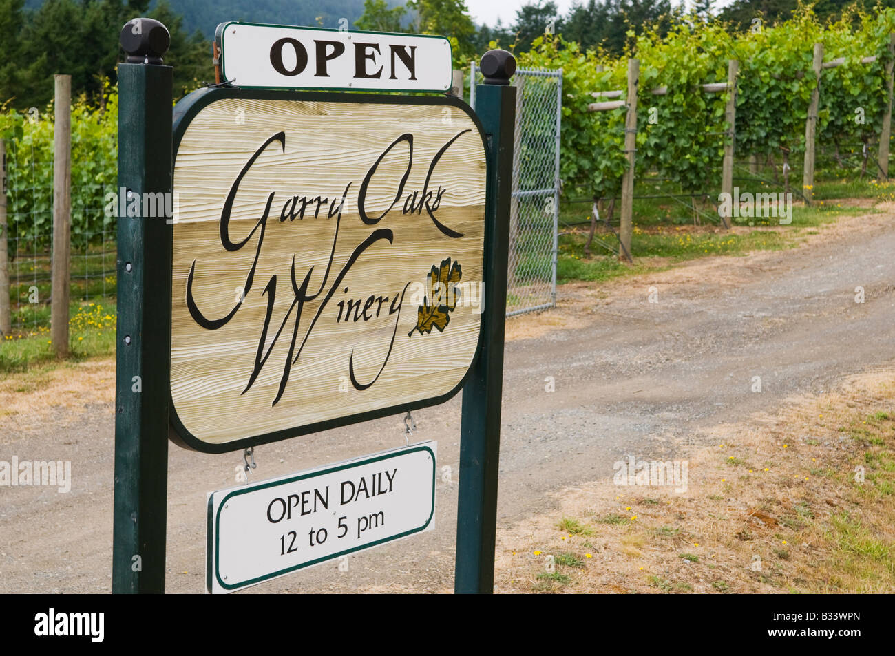 'The famous Garry Oaks winery in Salt Spring Island British Columbia Canada' Stock Photo