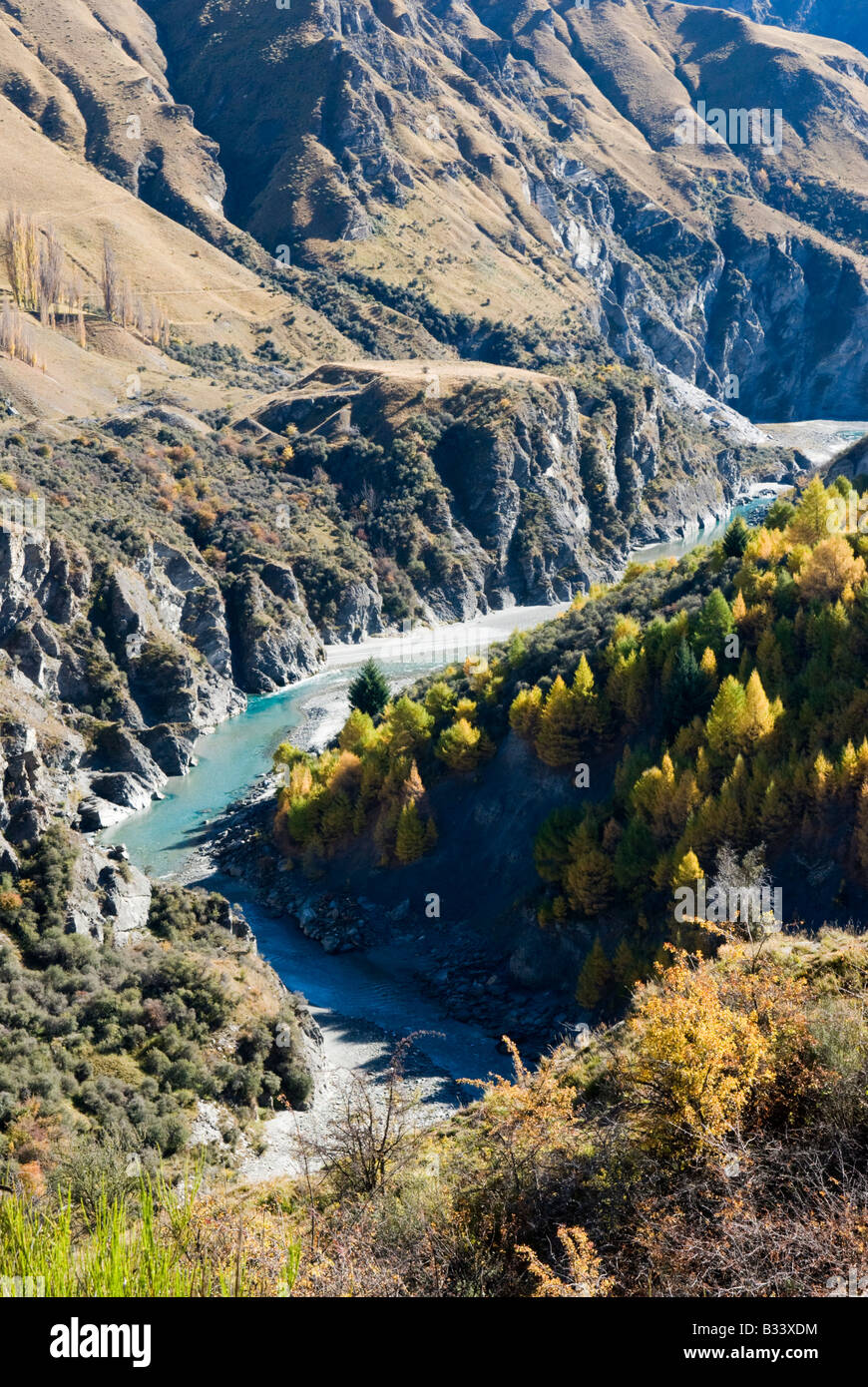 Autumn trees line the Shotover River in Skippers Canyon, Central Otago Stock Photo
