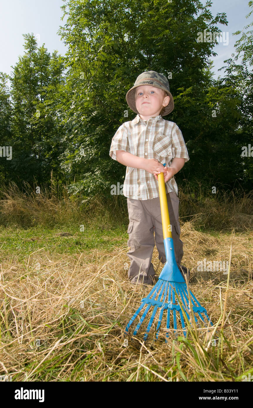 Raking hay hi-res stock photography and images - Alamy
