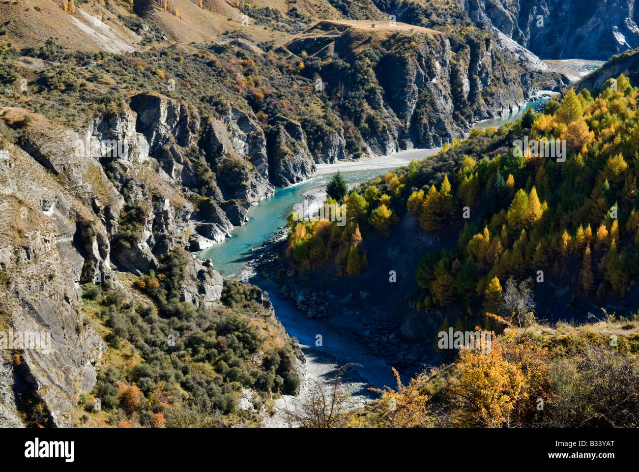 Autumn trees line the Shotover River in Skippers Canyon, Central Otago Stock Photo