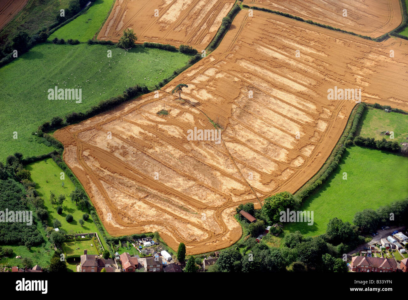 Farm crop ruined by wind and rain in near Much Wenlock in Shropshire England Stock Photo