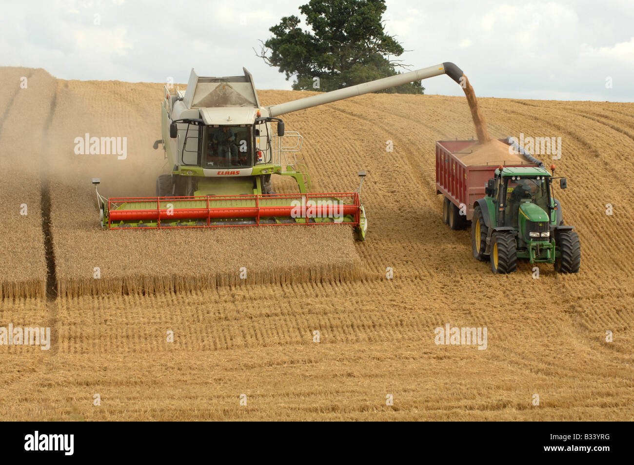 Combine Harvester gathering its crop on arable farmland near Leighton in Shropshire Stock Photo