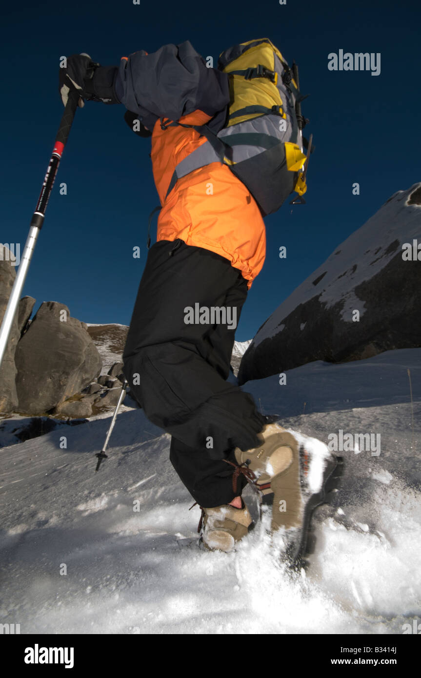 Trekker walking poles hi-res stock photography and images - Alamy