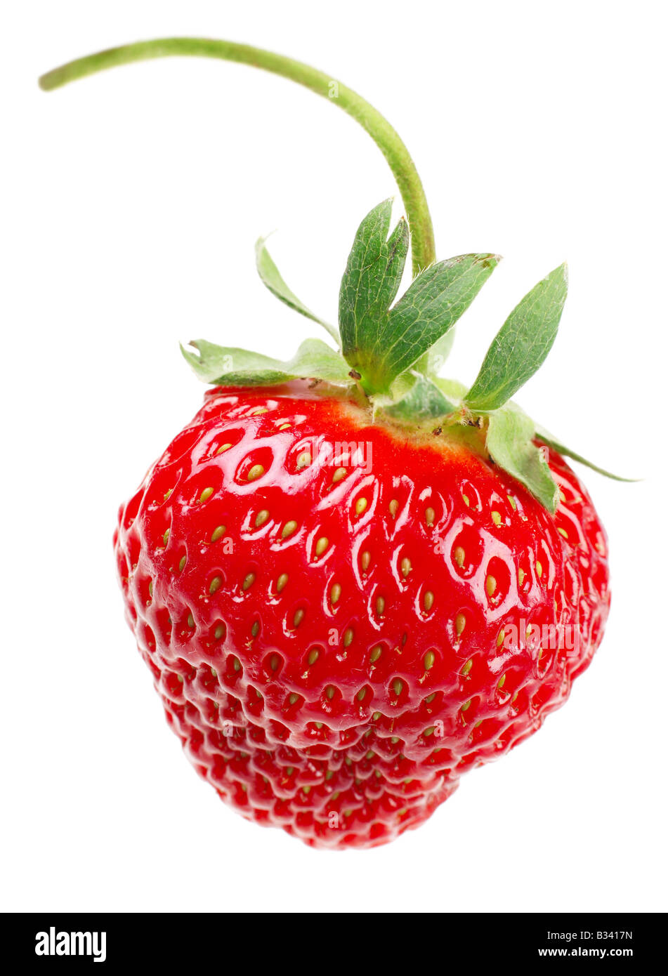 Strawberry fresh fruit isolated on white background Stock Photo - Alamy