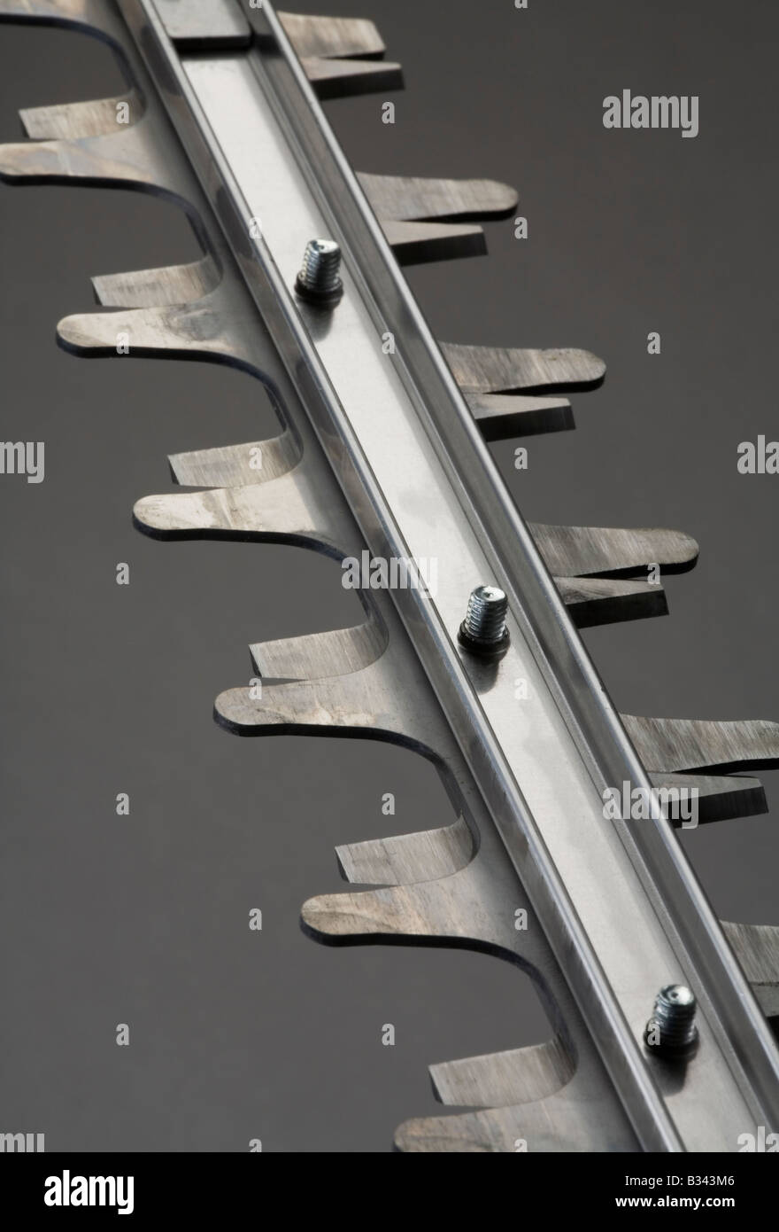 Blade of a new hedge trimmer Stock Photo Alamy