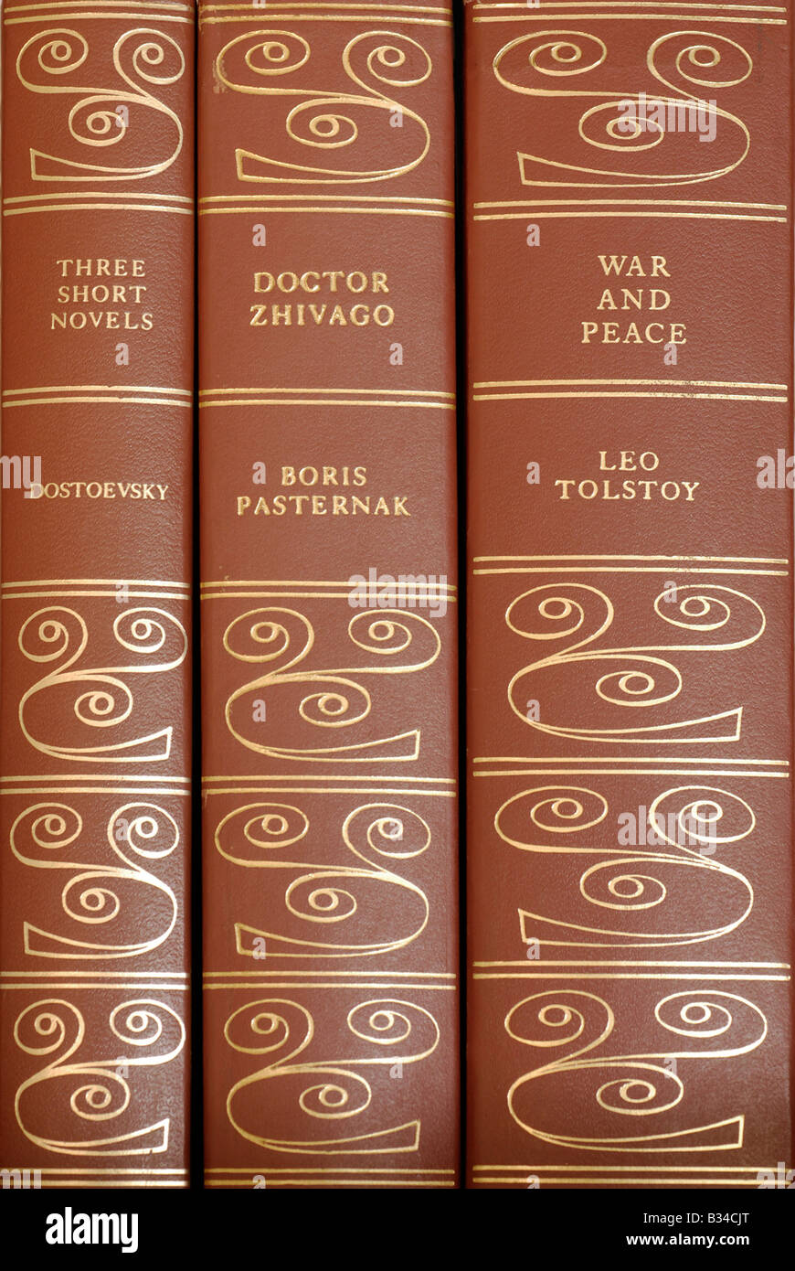 Book Spines, Russian Authors Stock Photo