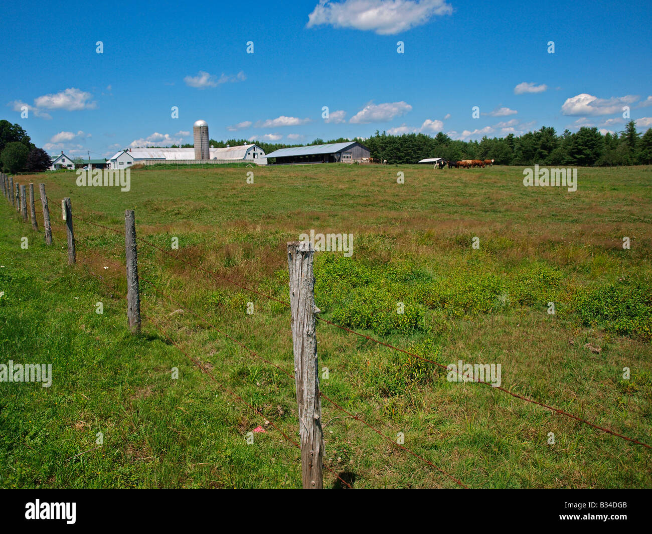 Farm central Maine in the summer Stock Photo Alamy