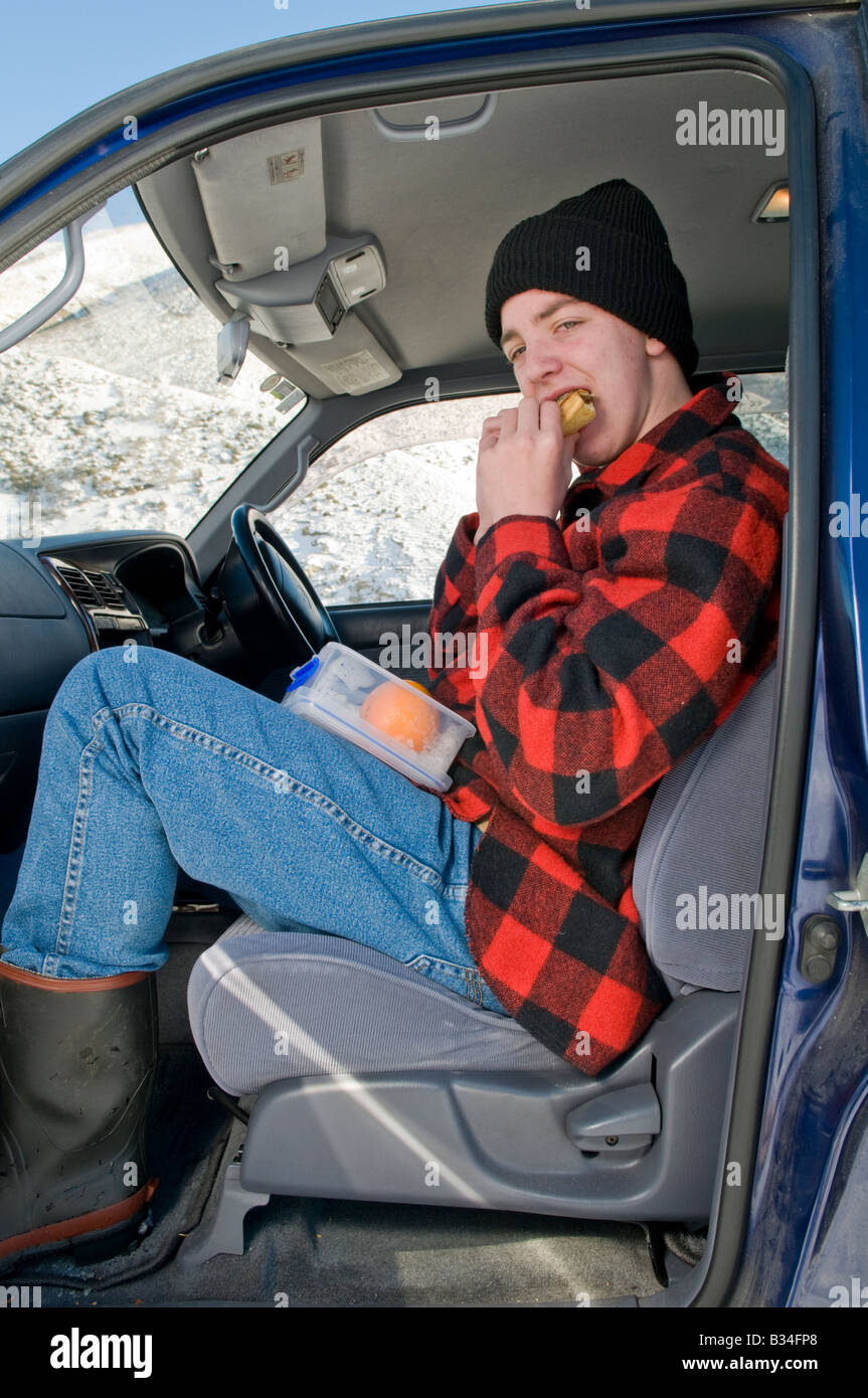 Young New Zealand farmer sat in truck eating a pie Stock Photo