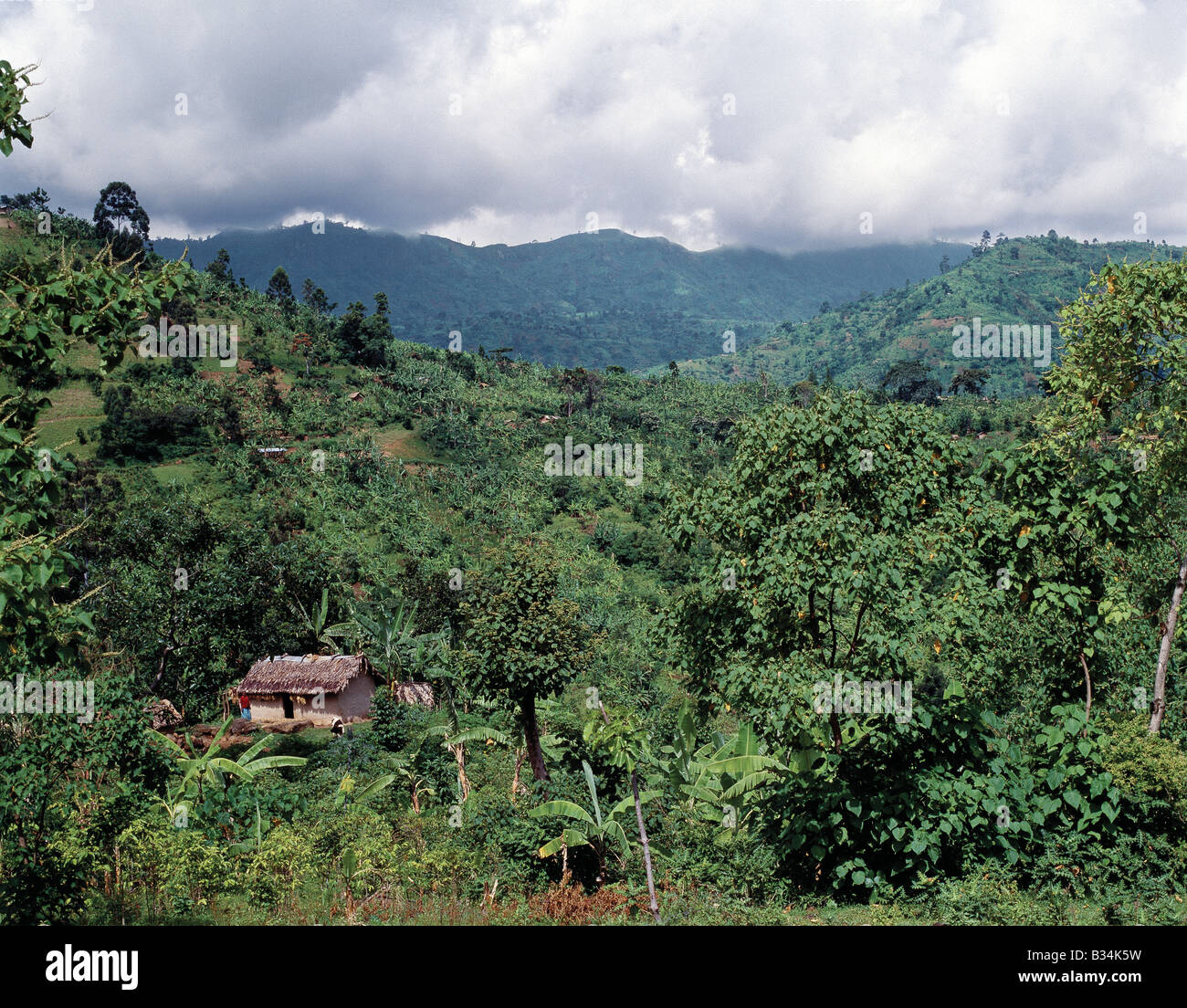 Uganda, Mount Elgon, Sipi Falls. Fertile farming country in the