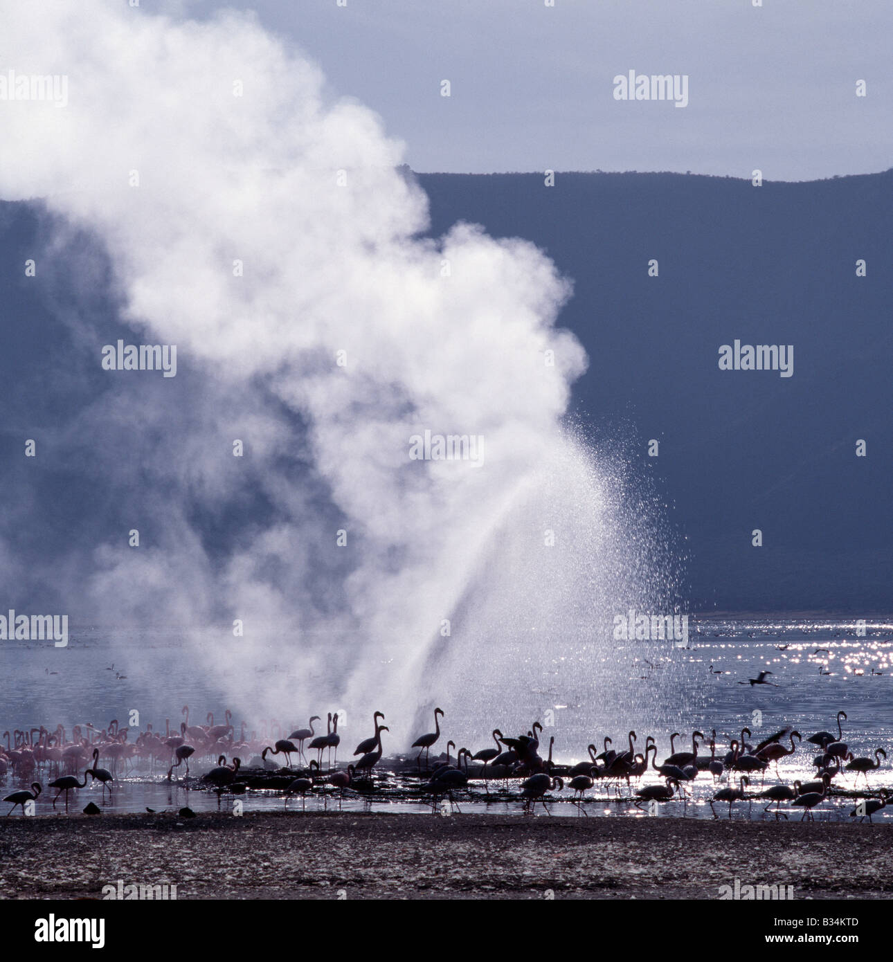Kenya, Rift Valley Province, Lake Bogoria. The alkaline waters of Lake