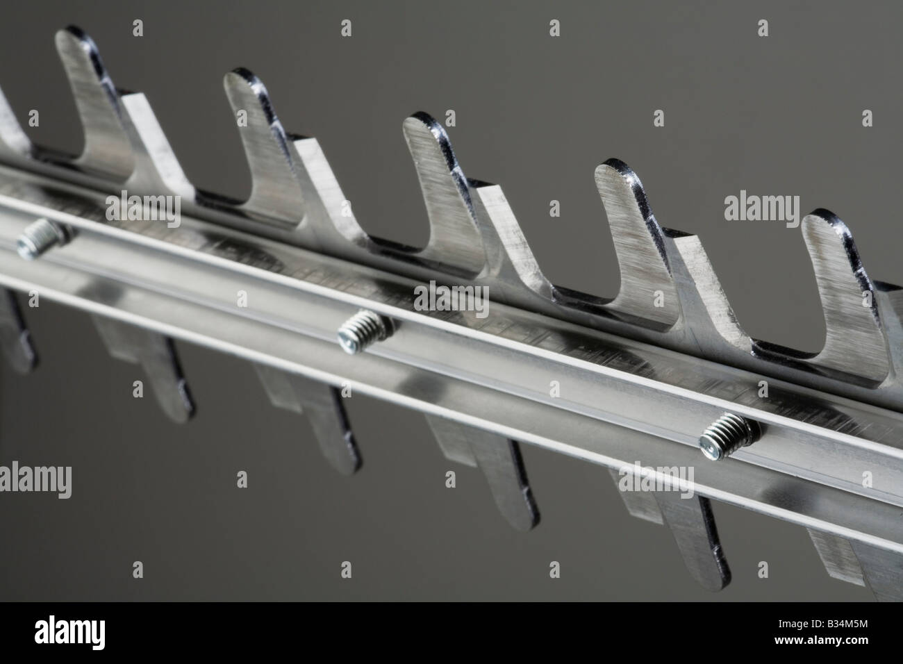 Blade of a new hedge trimmer Stock Photo Alamy