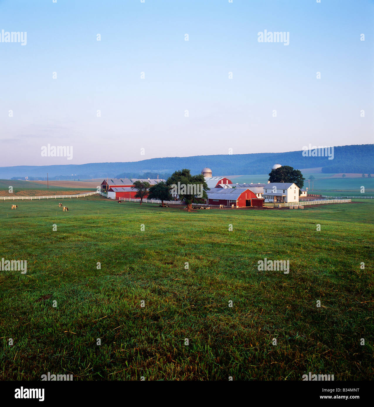 VALLEY WIDE FARM; DAIRY FARM NEAR STATE COLLEGE, PENNSYLVANIA, USA
