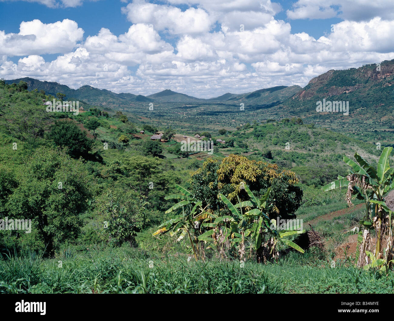 Kenya, Makueni, Matiliku. Fertile farming country in Makueni district, southeast of Nairobi