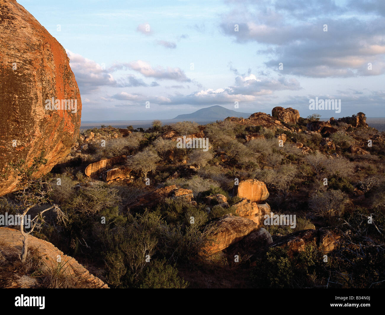 Kenya, Voi, Taita. Huge granite boulders take on a beautiful hue in the late afternoon sun. Kasigau hill rises from the arid plains in the background. Stock Photo