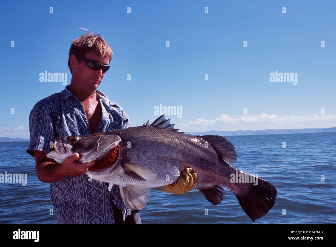 Man Holding Nile Perch Lates Niloticus Kisumu Lake Victoria Kenya Stock Photo Alamy