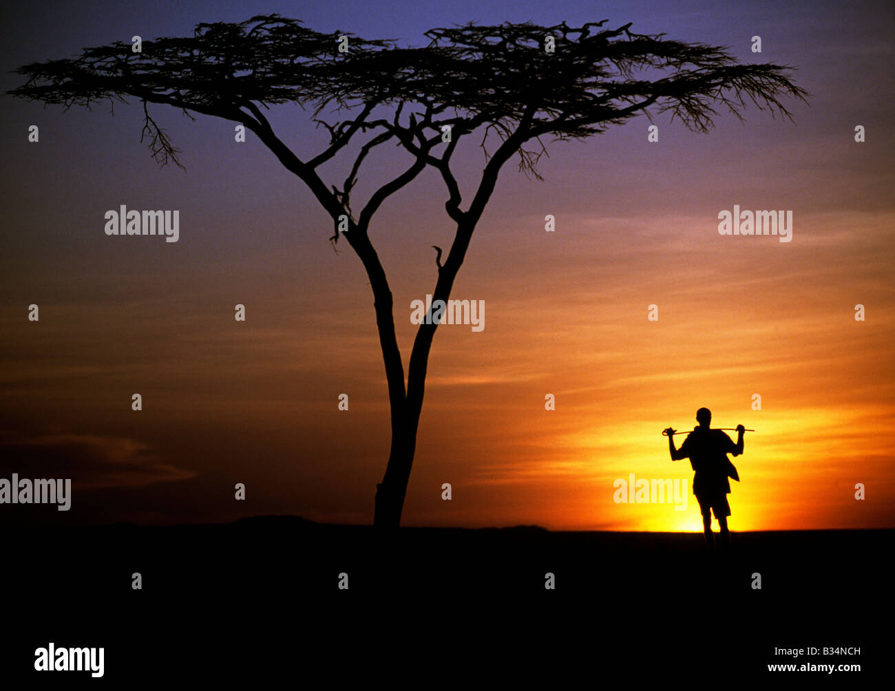 Kenya, Chalbi Desert, Kalacha. A Gabbra herdsman presents a lonely figure standing under a flat-topped acacia tree on the edge of the Chalbi Desert at sunset. The Gabbra are a Cushitic tribe of nomadic pastoralists living with their herds of camels and goats around the fringe of the Chalbi Desert. Stock Photo