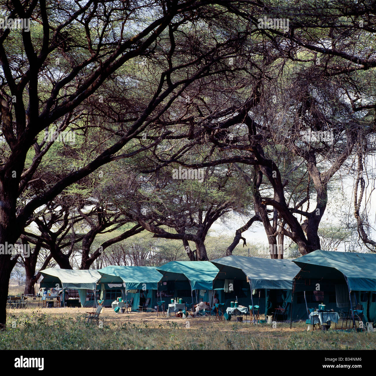 Kenya, Samburu district, Samburu National Reserve. An up-market tented camp in the Samburu National Reserve. Stock Photo