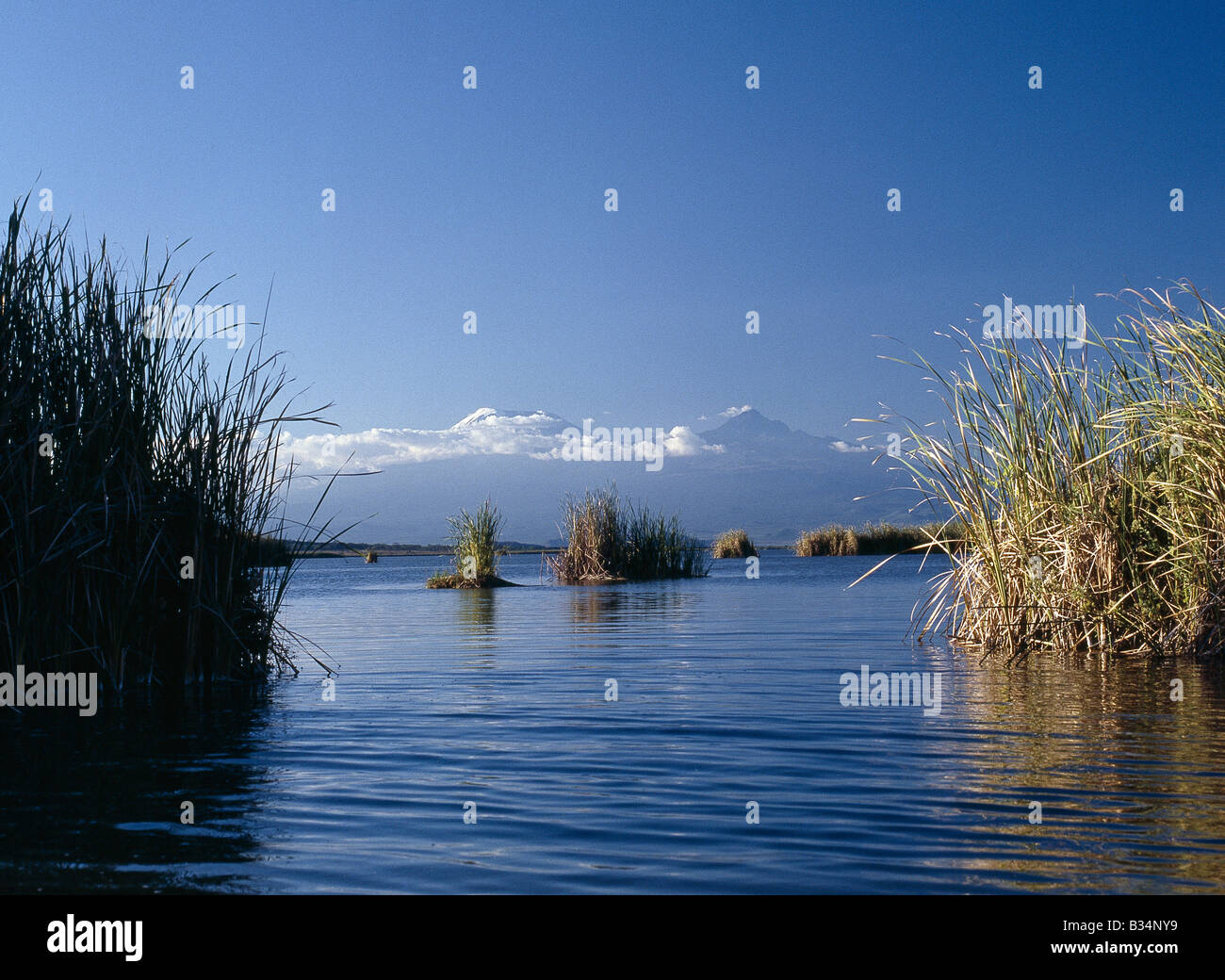Kenya, Taveta, Lake Jipe. Mount Kilimanjaro (19,340 feet) and Mawenzi