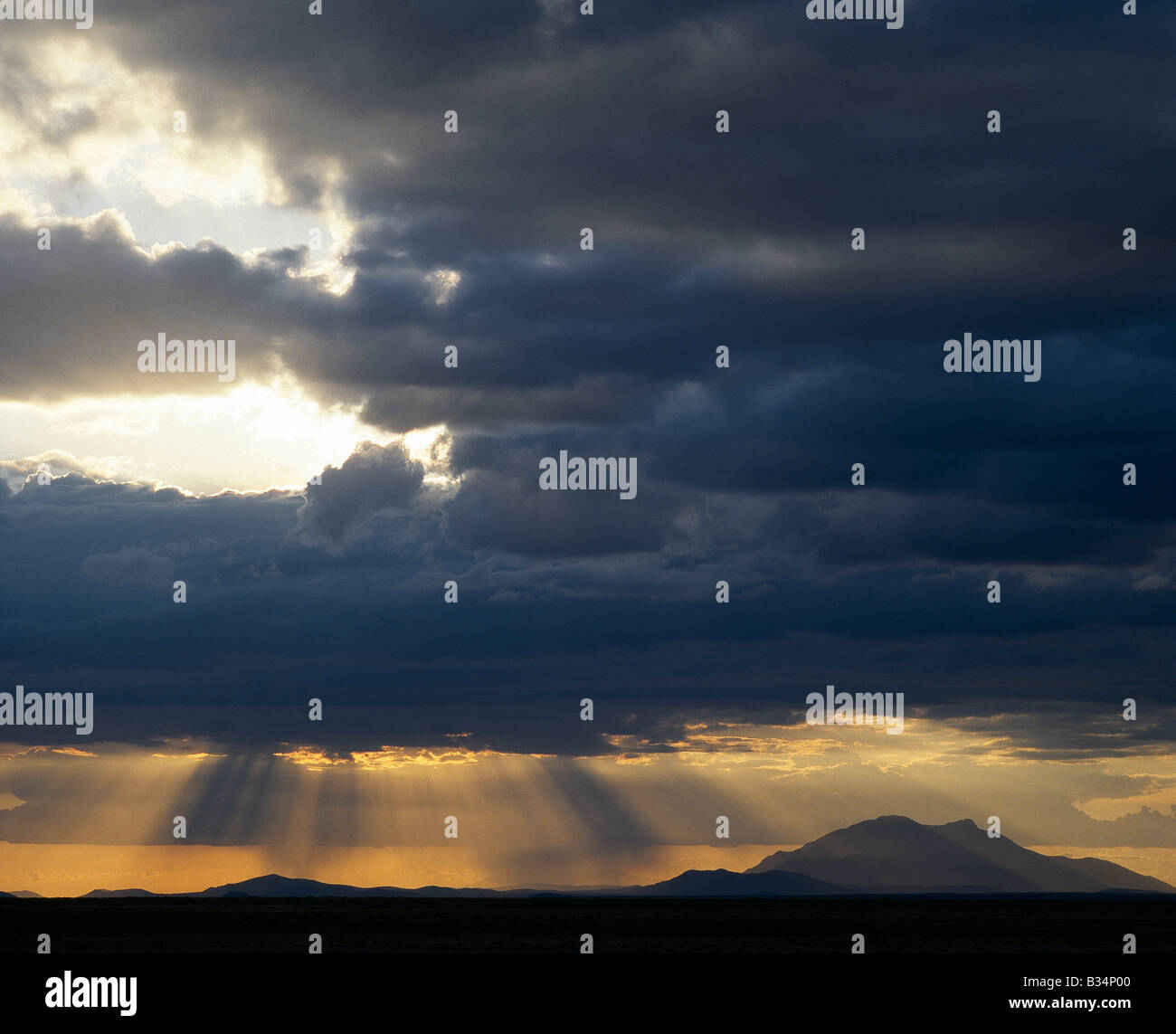 Kenya, Kajiado, Amboseli. In the late afternoon, storm clouds gather