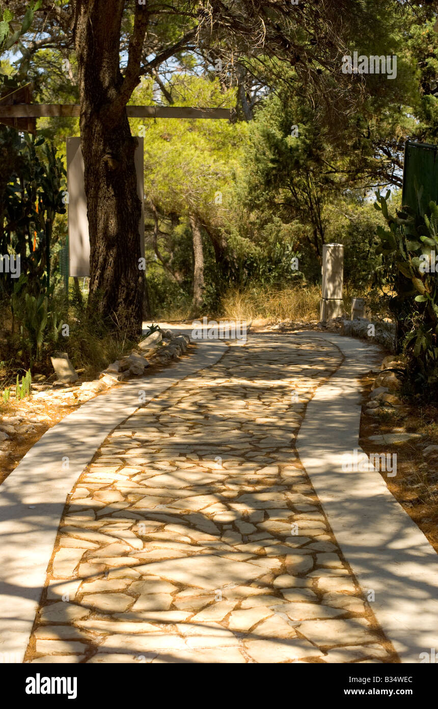 Stone pathway through woods on Palmizanka Pakleni islands Hvar Croatia Stock Photo